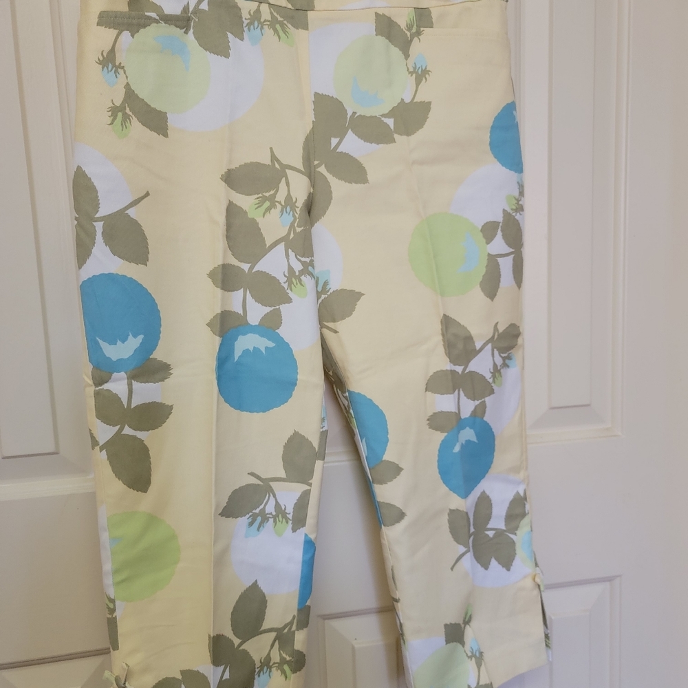 Ann Taylor LOFT crop pants sz 8